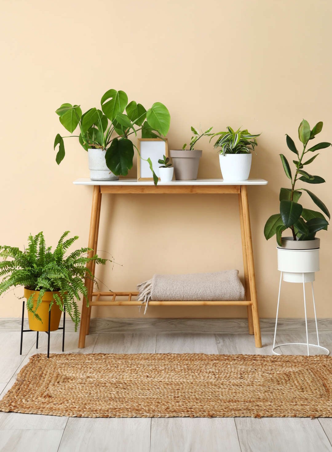 Home  and Garden 