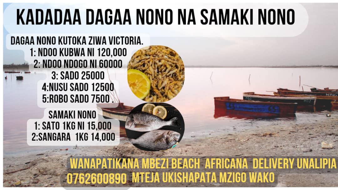 Kadadaa samaki dagaa nono 