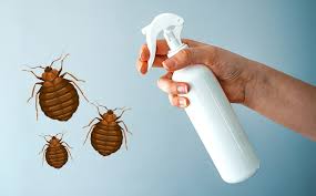 Insects Kills