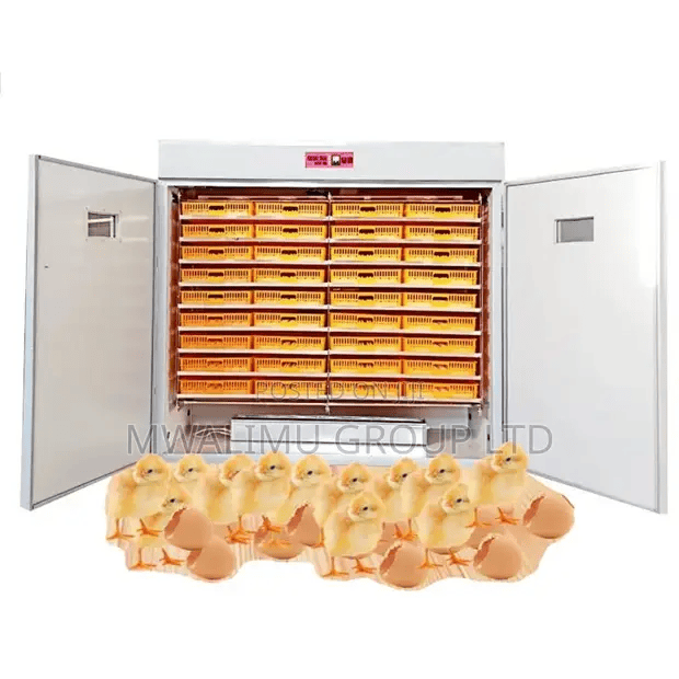 Egg incubator