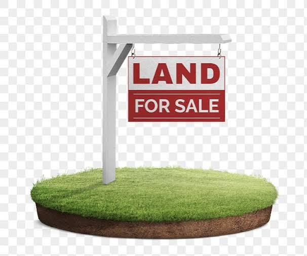 Residential Land